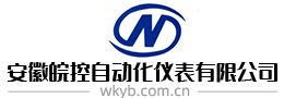安徽皖控自动化仪表有限公司